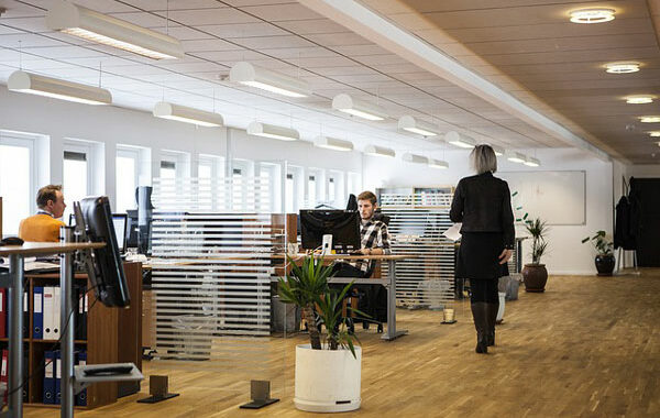 Pintura y papel pintado para una empresa. Ideas de decoración